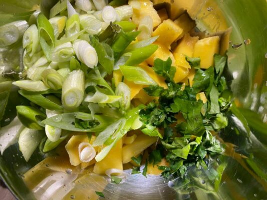 mangova salsa