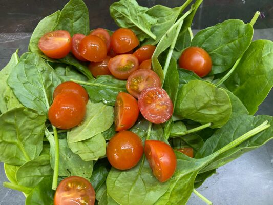 salat