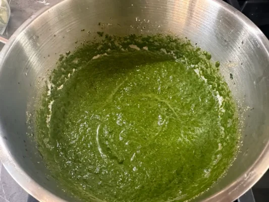 rozmixovany spenat