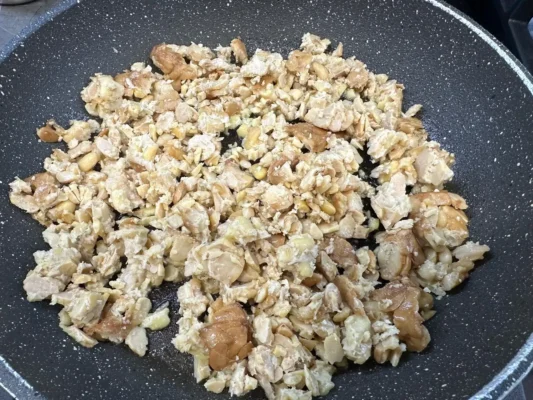 tempeh v panvici
